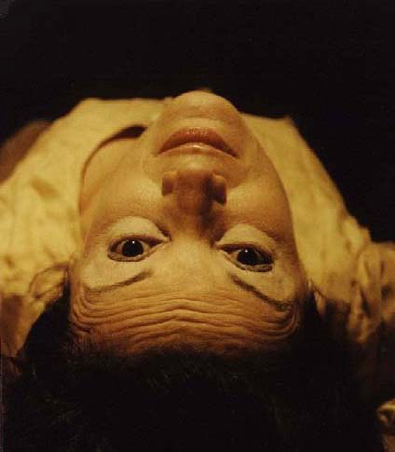 E.V.A. - Foto de Renata Vavolizza